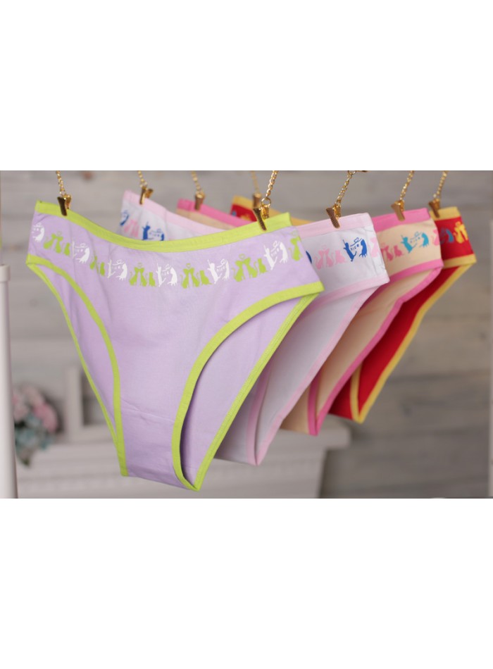 Set 4 chiloti NICE CAT XL